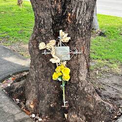 Trotz Richtungstrennung - tödliche Unfälle geschehen auch hier