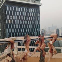 Some fish drying on the roof - Chinese bokkoms!