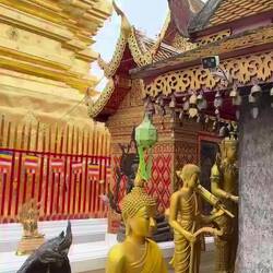 Gold Gold Gold ist alles was ich habe