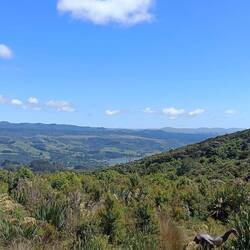 Mount Cargill - sanctuary