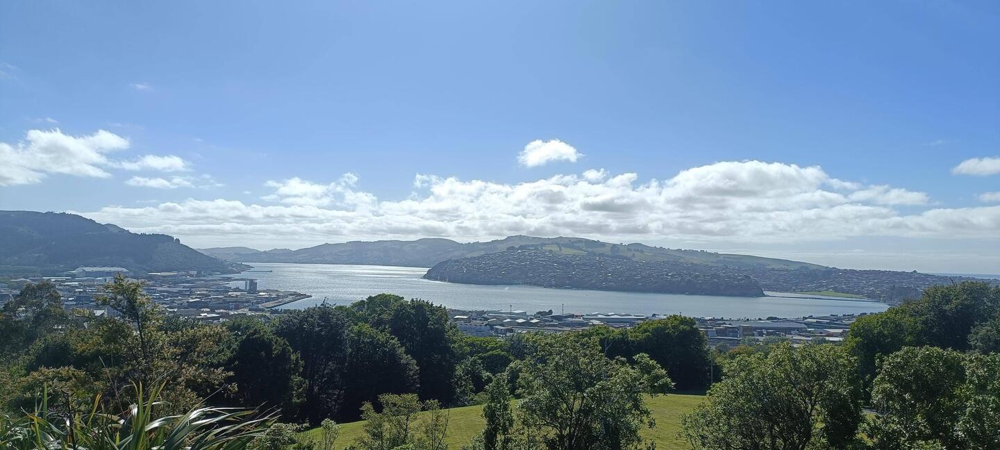 Vue de Dunedin quand on cherchait le début de notre marche 😂