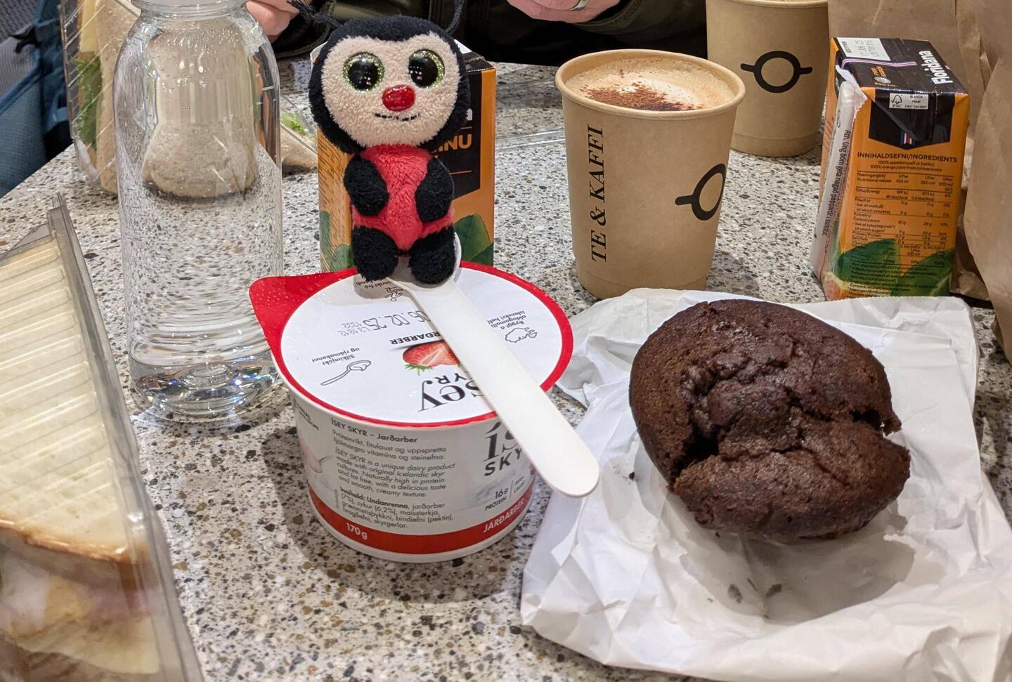 Marinis letzter Imbiss auf Island