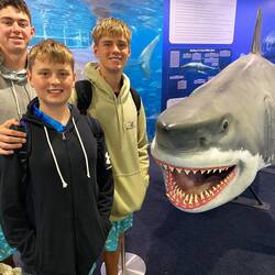 The only shark sighted this trip 😢