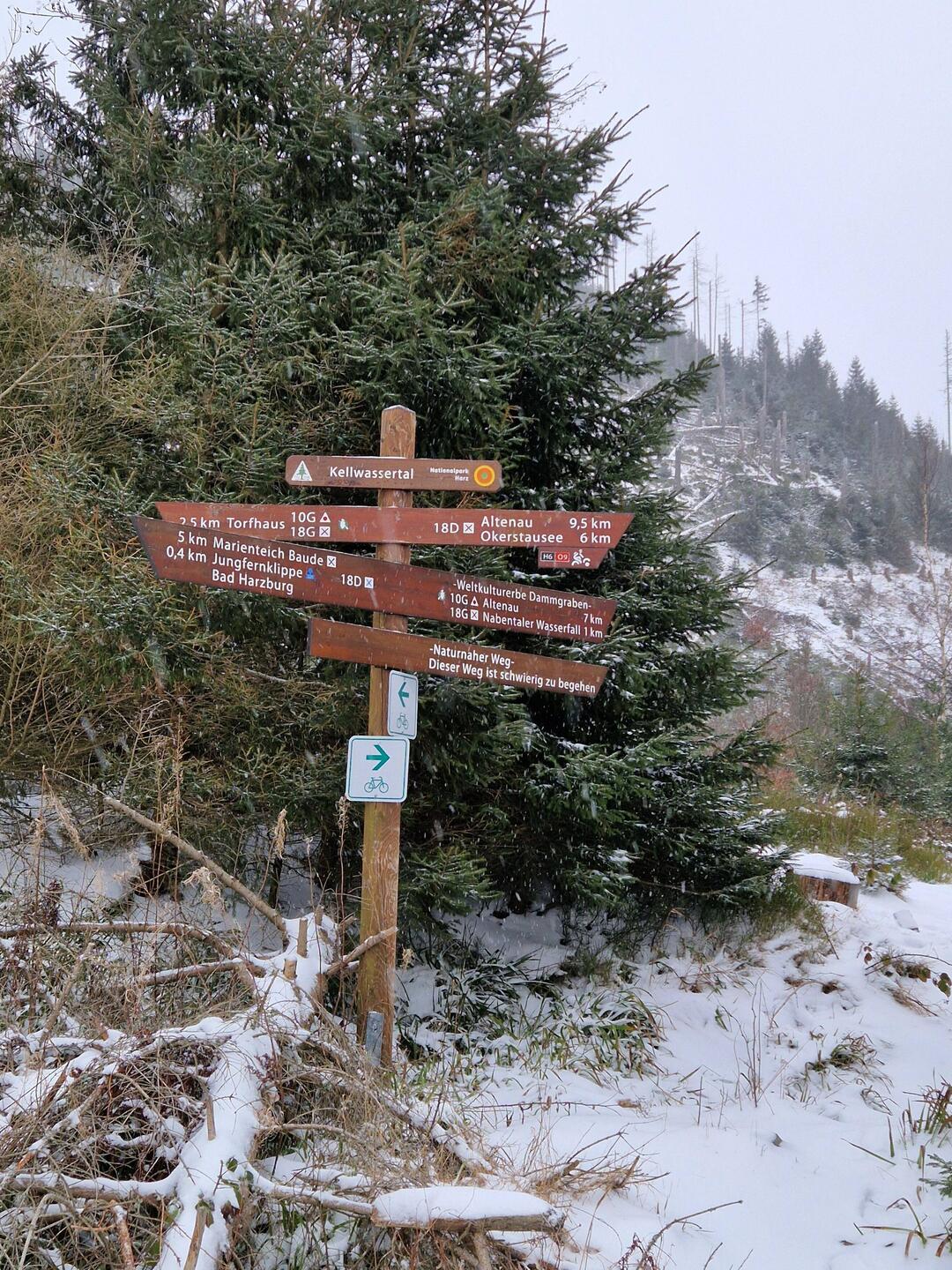 Natürlich haben wir den "naturnahen Weg" genommen 😅