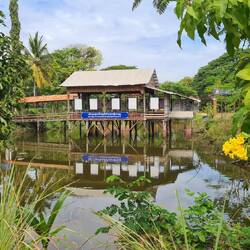 Killing fields von Battambang