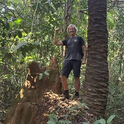 Master of the termites