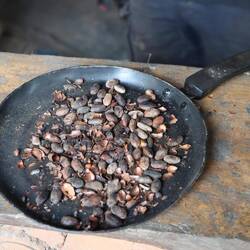 ... röstet Kakaobohnen