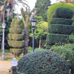 Park in Cadiz