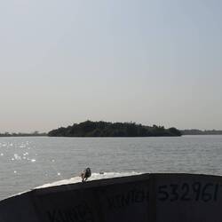 Die Baboon-Insel ist in Sicht