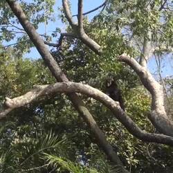 Gar nicht so leicht, so ein tolles Video aufzunehmen