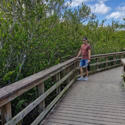 Ja de Silvan sucht no nach em Florida Panther