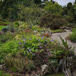 Garten vom "Larnach Castle"