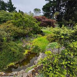Garten vom "Larnach Castle"