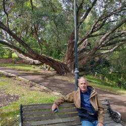Taking a rest at the Auckland Domain