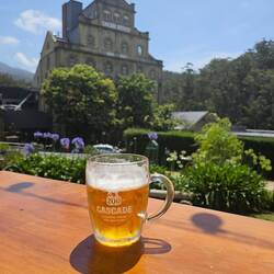 Cadre enchanteur pour cette Brasserie Cascade Brewery, biergarten avec jazz live. Top