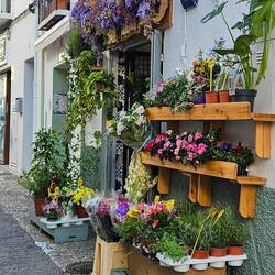 Non esiste scorcio andaluso che non sia colorato