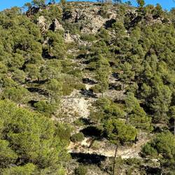 In der Sierra Espuña