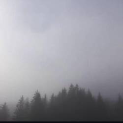 Guten Morgen