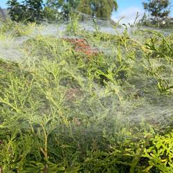 Morgentliche Stimmung :)