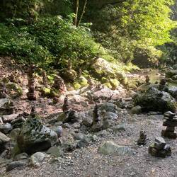 Am Ufer des Wasserfalles