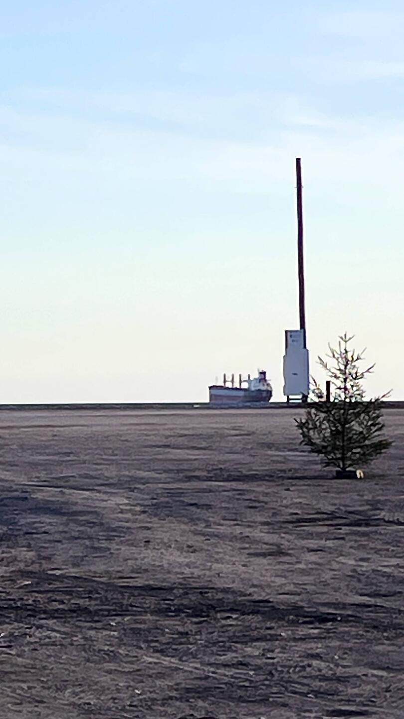 Unser Blick aus dem Womo; der Tannenbaum steht noch.