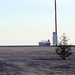 Unser Blick aus dem Womo; der Tannenbaum steht noch.