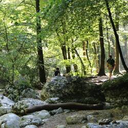 Über Fluss und Stein...