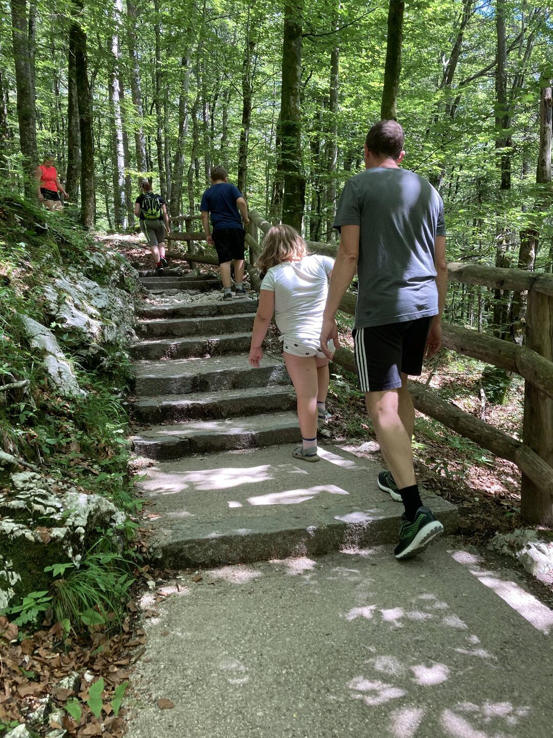 Auf dem Weg nach oben...