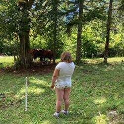 Haben Pferde auf dem Weg entdeckt