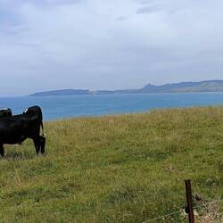 Nous arrivons au phare