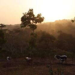 Zurück an der Farm...