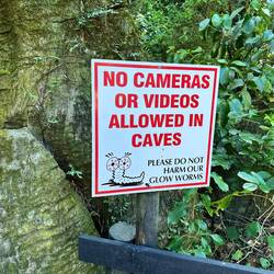 Leider keine Fotos aber die 💡Würmchen waren toll 🐛