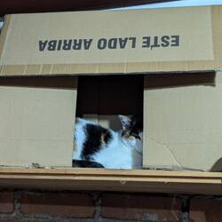 ... und zuckersüßen Mitbewohnern 😊