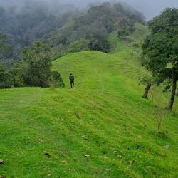 ... ab dann ging's für die Mona alleine weiter.