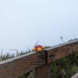 Und belohnt wurden Schildi und Mona mit der besten Aussicht!