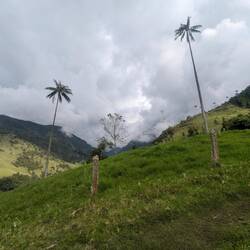 .... but there comes the sun 🌞