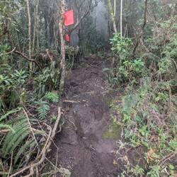 Nur bissi matschigelig...