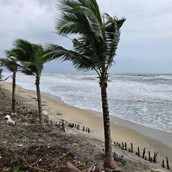 Windy. Rainy. Definitely not beach time.
