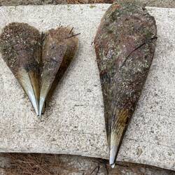 Teil unserer Ausbeute