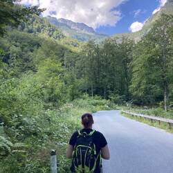 Auf den Weg um den See