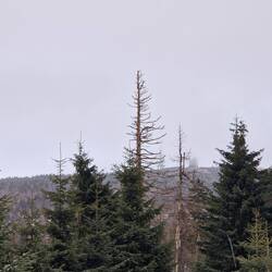 Blick auf den Brocken