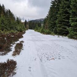 Auch hier hatten wir oft mit den Eisflächen zu kämpfen 🙈