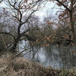 Luppe bei Wallendorf