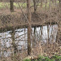 Wegwitz, ein alter Luppearm