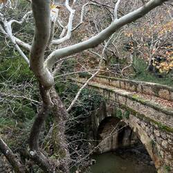 Beginn der Wanderung mit eine tolle Brücke