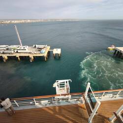 Waghalsiges Anlegen mit Seelöwen und Robben im Hafenbecken