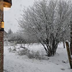 Sogar mit Schnee 😍❄️❄️