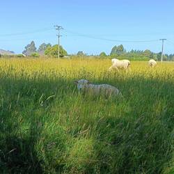 Promenade à côté du camping