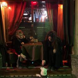 Drinks with a random cutie doggo