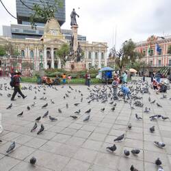 Markusplatz von Venedig?